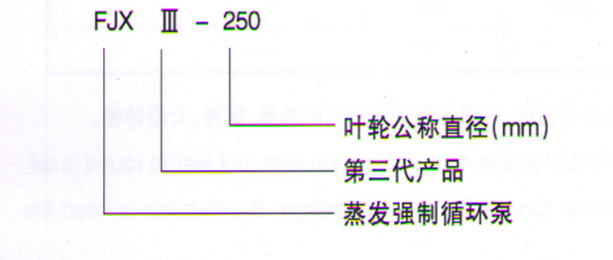 FJX系列強制循環(huán)稀酸泵